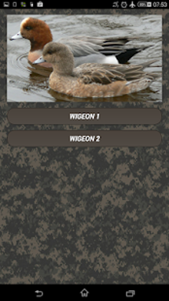 Imagen 0 para Duck calls