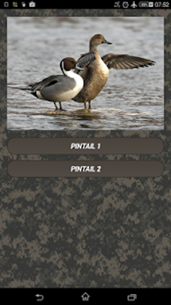 Image 0 for Duck calls