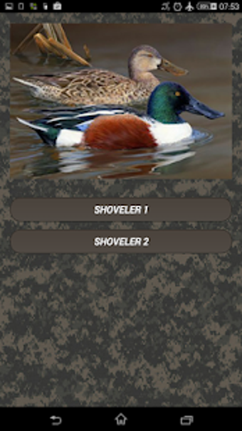 Imagen 3 para Duck calls