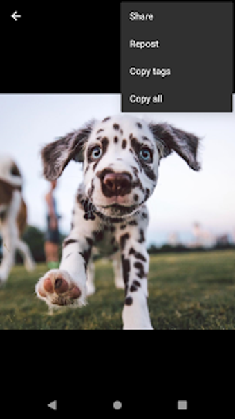 Imagen 2 para InstaSave -Download & Rep…