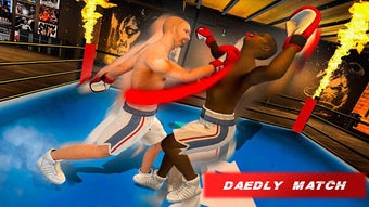 Image 2 for Mega Punch Boxing Game