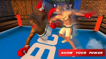 Image 0 for Mega Punch Boxing Game