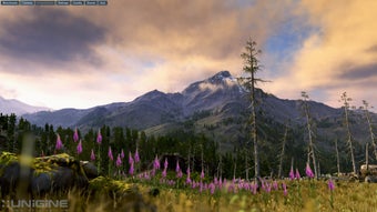Imagen 1 para Valley Benchmark