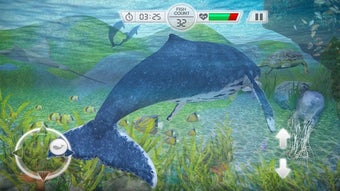 Image 1 for Blue Whale Survival Chall…
