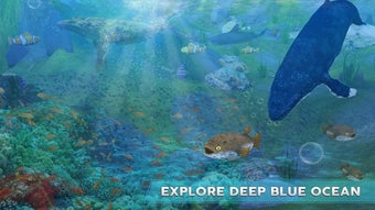Image 1 for Blue Whale Survival Chall…