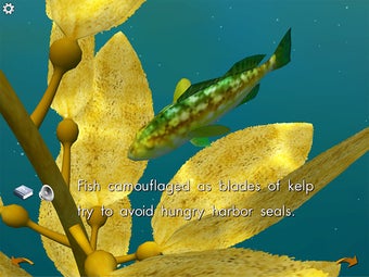 Image 0 for Ocean Forests