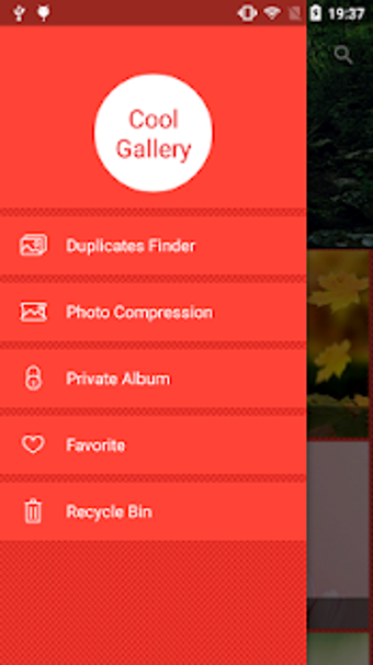 Image 0 for Cool Gallery