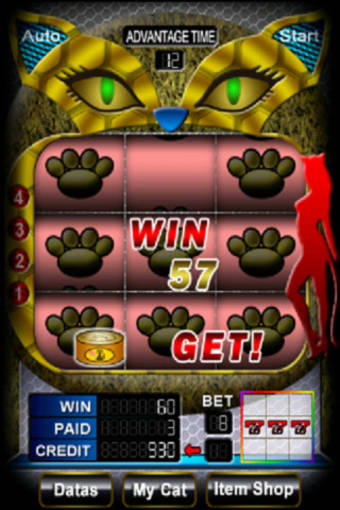Image 1 for SLOTMACHINE COIN TO A CAT