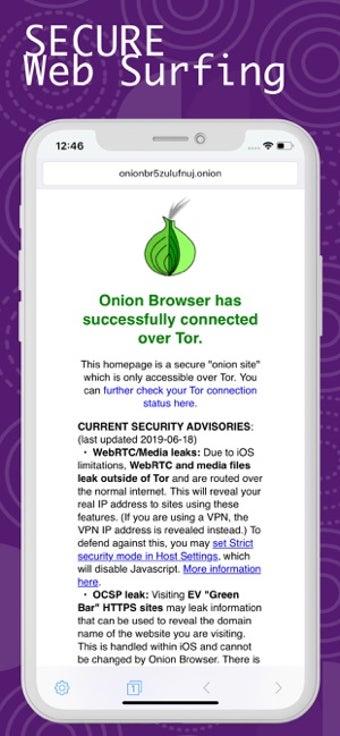 Image 1 for Secure Tor Browser