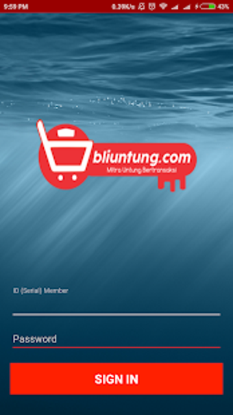 Imagen 6 para Beli Untung