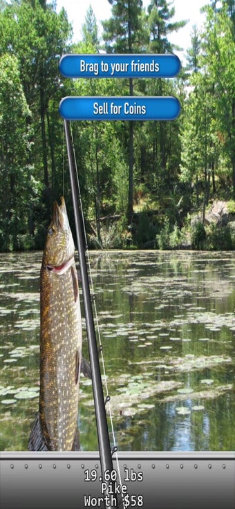 Image 2 for iFishing 5