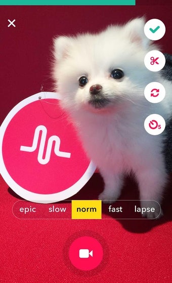 Imagen 1 para TikTok - including musica…