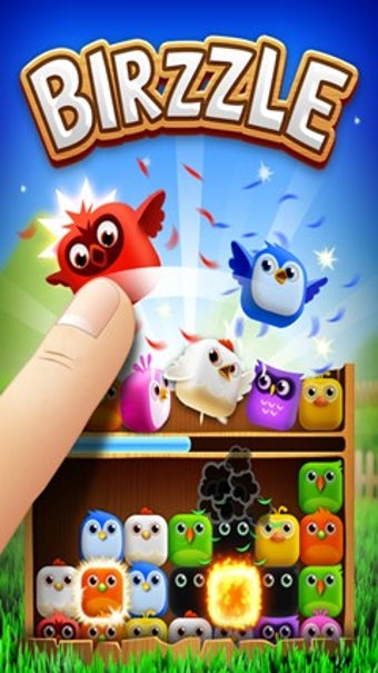 Imagen 1 para Birzzle