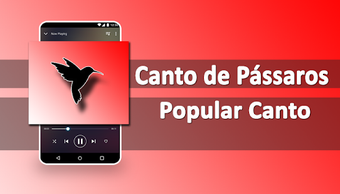 Imagen 0 para Canto de Pssaros - Mais d…