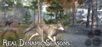 Image 1 for Ultimate Wolf Simulator 2