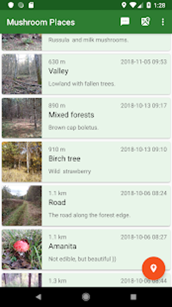 Imagen 3 para Forest Navigator