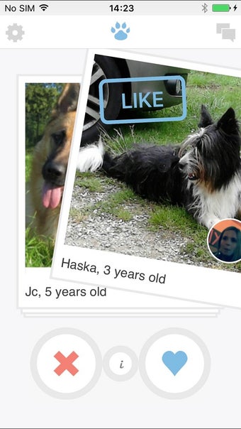 Image 1 for Twindog