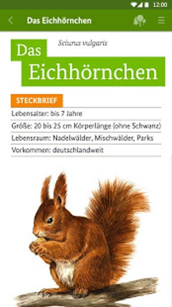 Imagen 1 para Die kleine Waldfibel