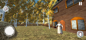 Image 1 for Stepmother : Mad Granny