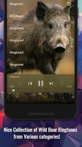 Image 0 for Wild Boar Sounds