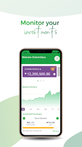 Imagen 3 para PayDay Investor