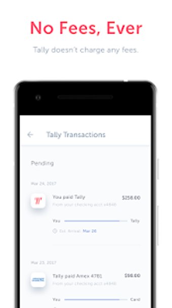 Image 3 for Tally: Credit Card Debt P…