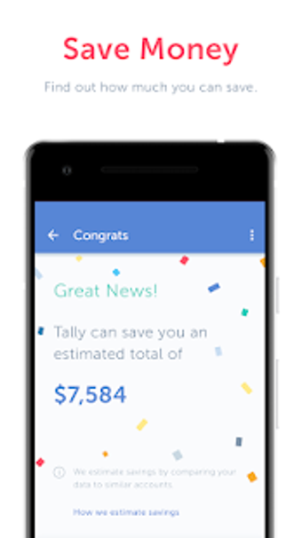 Image 1 for Tally: Credit Card Debt P…