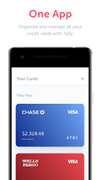 Image 0 for Tally: Credit Card Debt P…