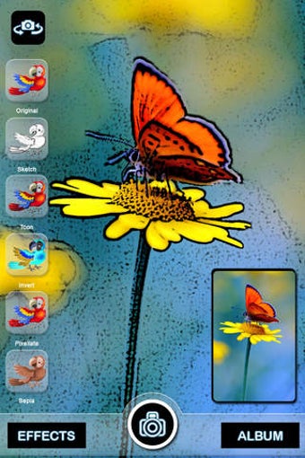 Image 0 for Cartoon Live Camera - Fre…