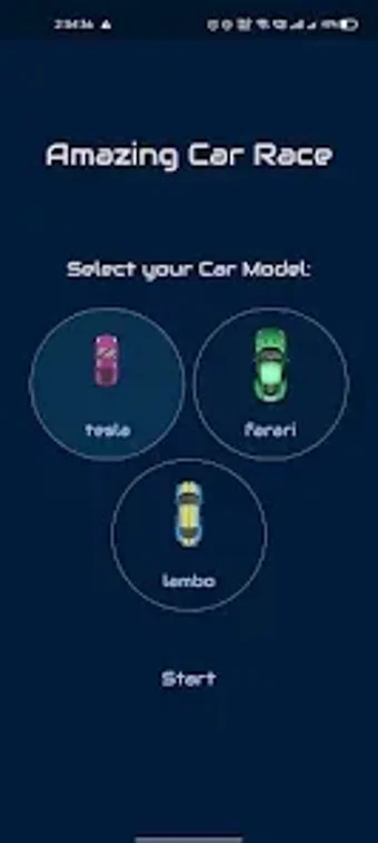 Imagen 0 para Amazing Car Race