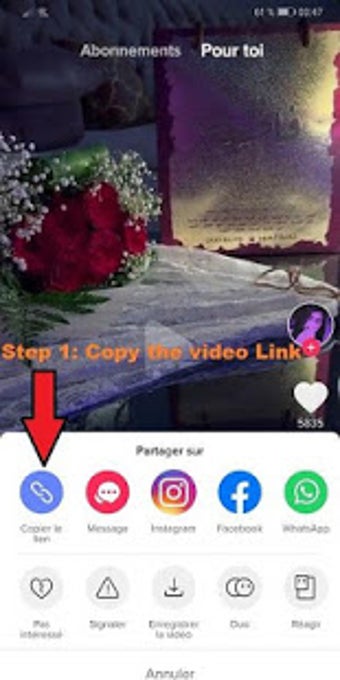 Image 2 for video downloader For TikT…