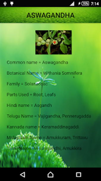 Image 1 for Medicinal Plants and Its …