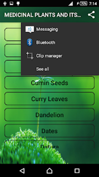 Image 2 for Medicinal Plants and Its …