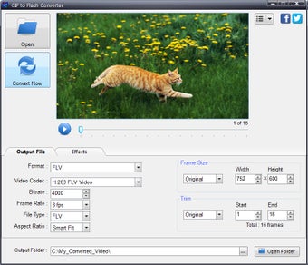 Imagen 0 para GIF To Flash Converter