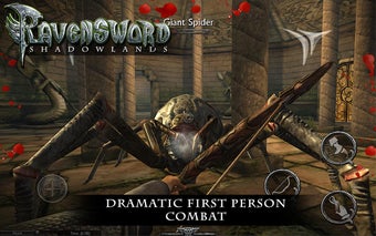 Imagen 0 para Ravensword: Shadowlands