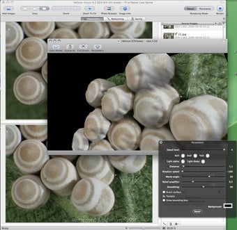 Imagen 0 para Helicon Focus