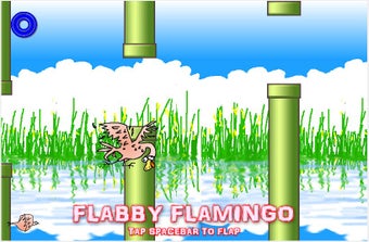 Image 0 for Flabby Birds