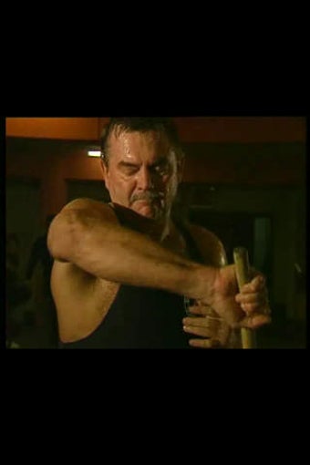Image 0 for Martial Arts Masters