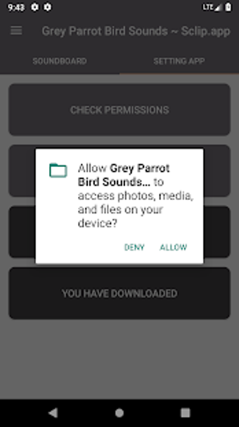 Image 3 for Grey Parrot Bird Sound Co…