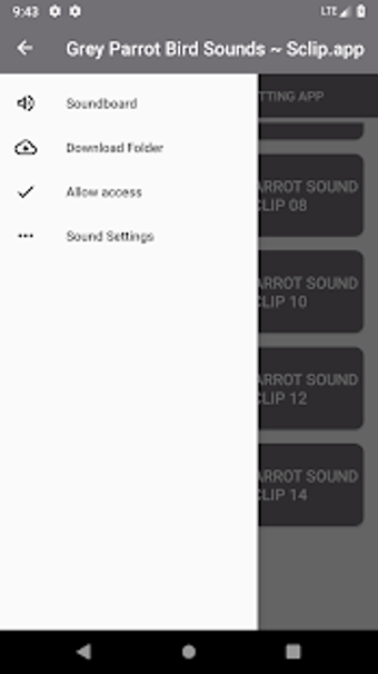 Image 1 for Grey Parrot Bird Sound Co…