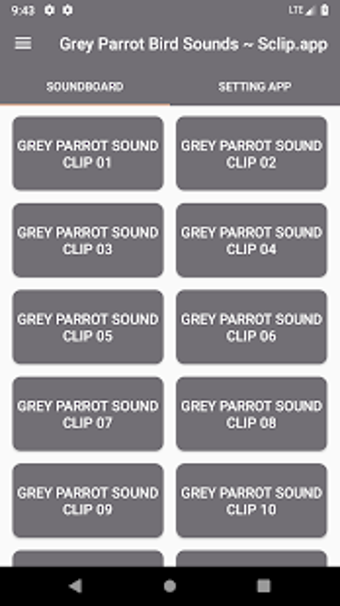 Image 2 for Grey Parrot Bird Sound Co…