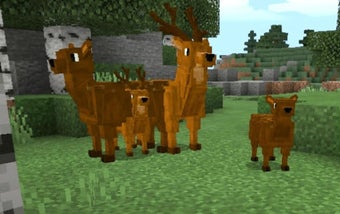 Imagen 0 para Addon Animal Zoo