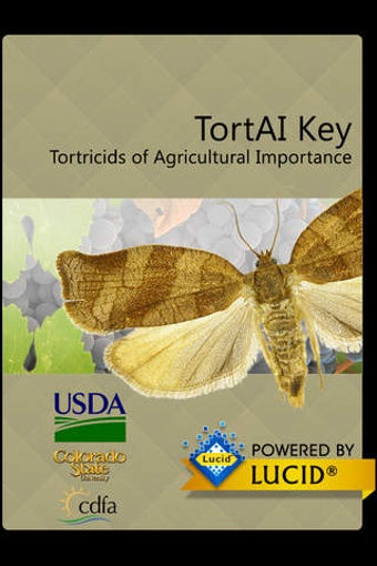 Image 0 for TortAI Key