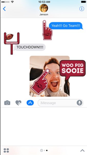 Imagen 1 para Arkansas Razorbacks Stick…