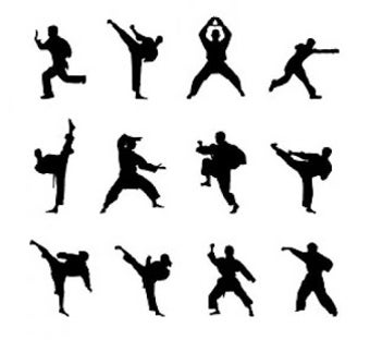 Image 1 for Learn Kung Fu at home