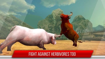 Image 0 for Bull vs Bull Fight: Knock…