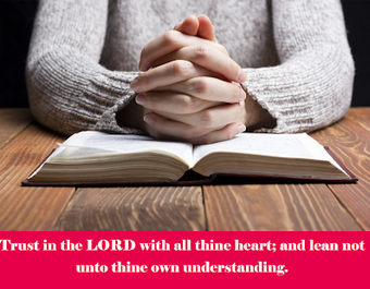 Imagen 0 para KJV - Audio Bible Offline…