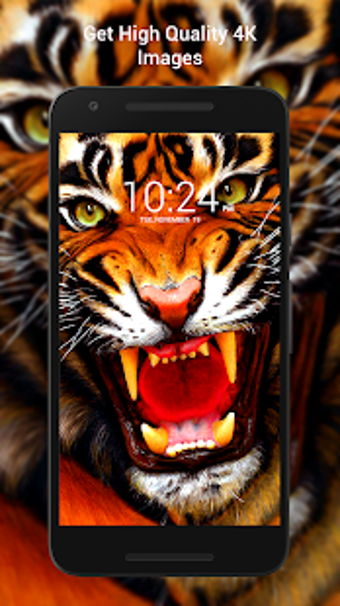 Imagen 3 para Tiger Wallpaper HD