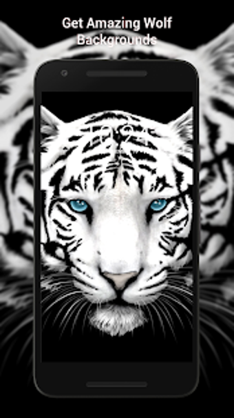 Imagen 1 para Tiger Wallpaper HD