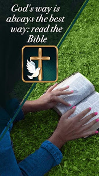 Imagen 2 para Study Bible app free